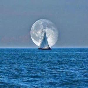 Meet your Posher, Debra